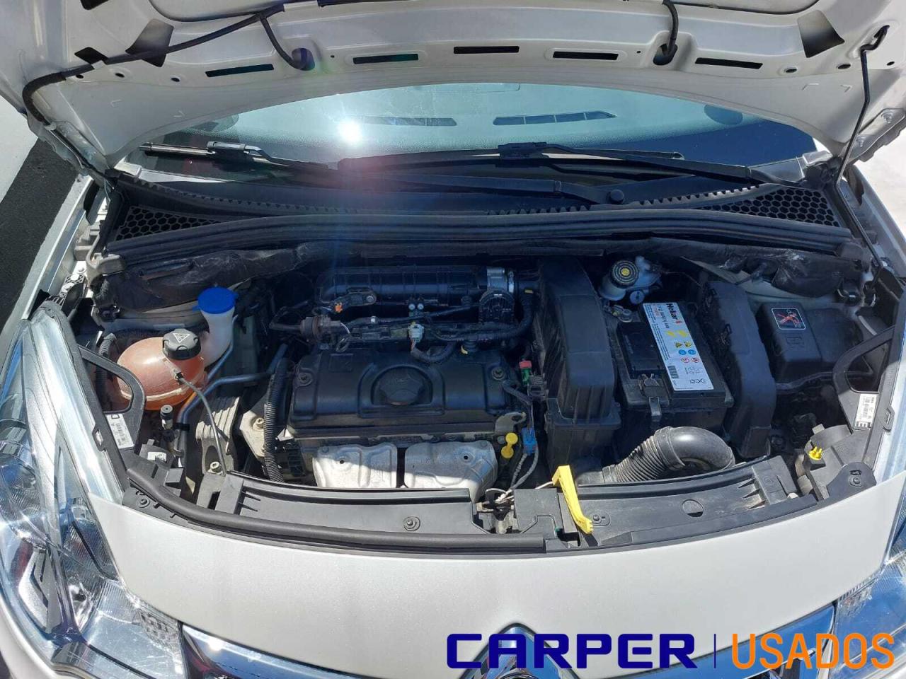 6444202a747a5f77c31031059624153b_1768187747-1